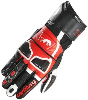 Elidivenler kategorisi için resim